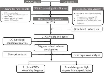 Next Generation Sequencing Identify Rare Copy Number Variants in Non-syndromic Patent Ductus Arteriosus